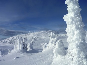 Itālija -  Val di Sole 07.02.-14.02.2026