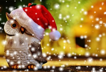  Itālijā,Jaungads  Saules Ielejā ! 27.12.25.